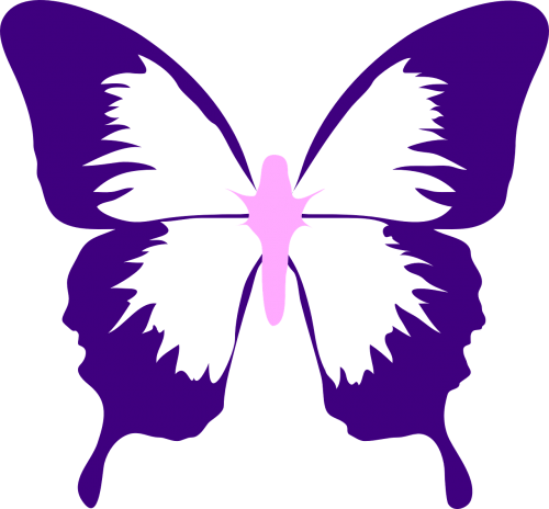 butterfly wings purple