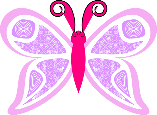 butterfly cute pink