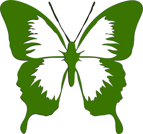 butterfly art design