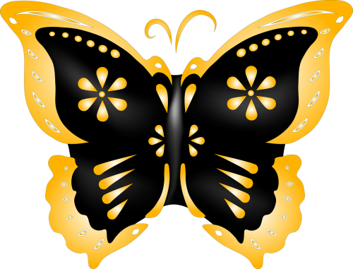 butterfly illustrate nature