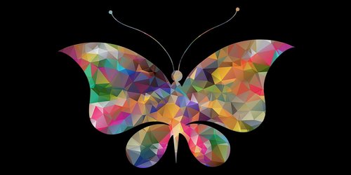 butterfly  low poly  insects