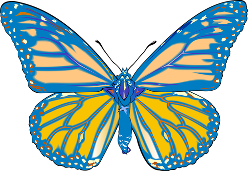 butterfly  drawing  graphics