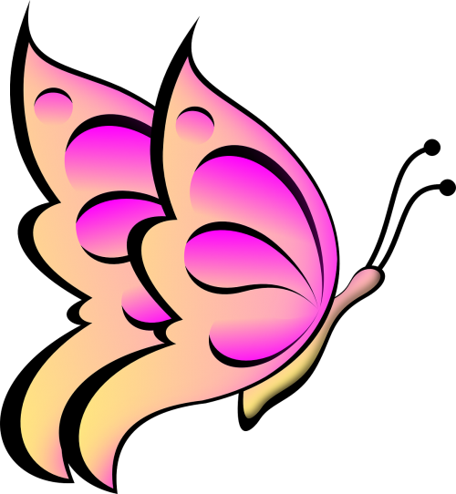 butterfly pink wings