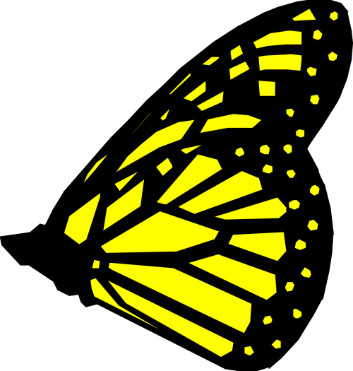 butterfly yellow black