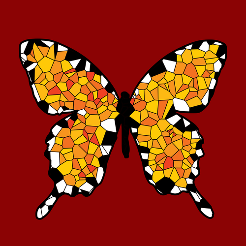 butterfly  insect  animal