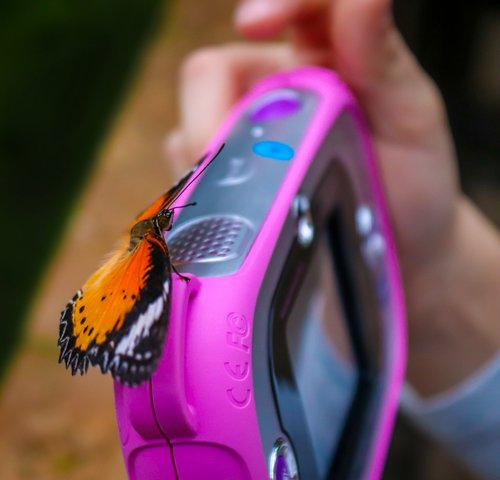 butterfly  camera  child