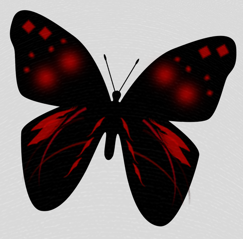 butterfly  black and red  spring