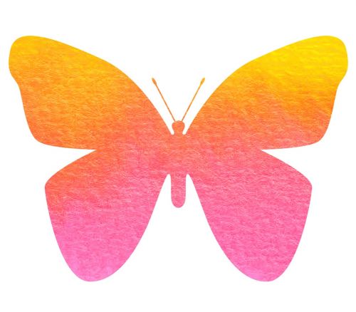 butterfly watercolor beautiful