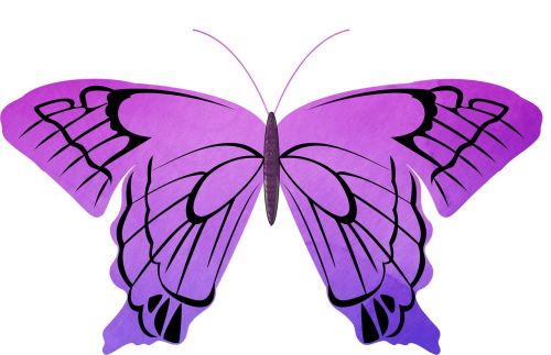 butterfly watercolor purple