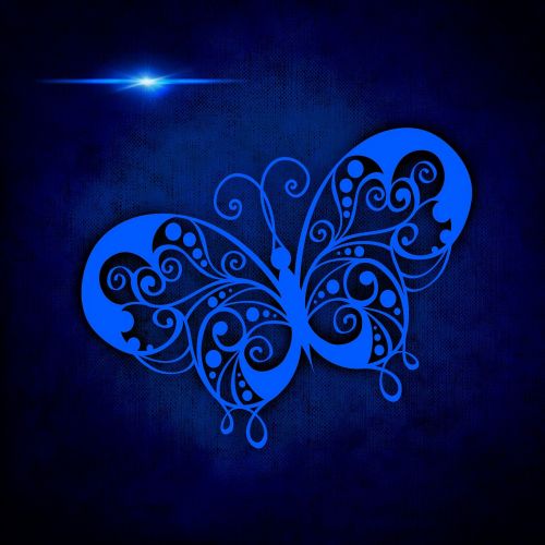 butterfly blue bright