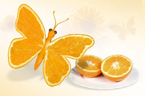 butterfly yellow orange