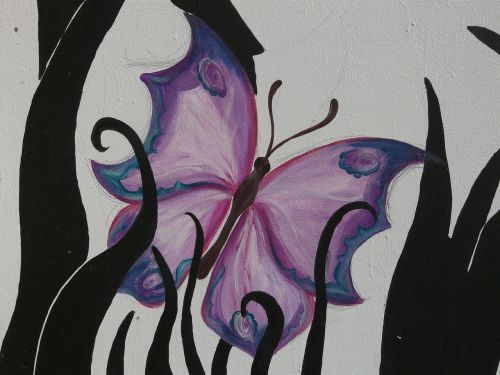 butterfly animal art