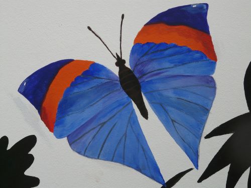butterfly animal art