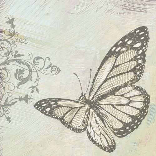 butterfly color scrapbook white