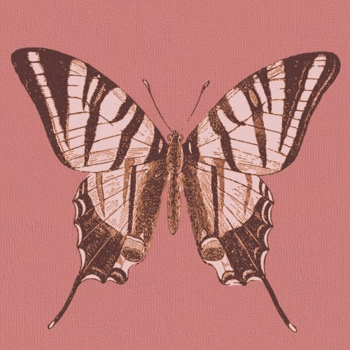 butterfly pink scrapbook