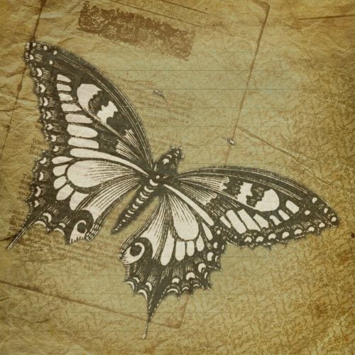 butterfly paper scrapbook