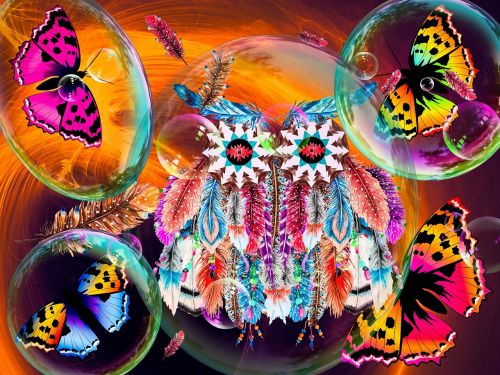 butterfly art abstract painting owl feathers
