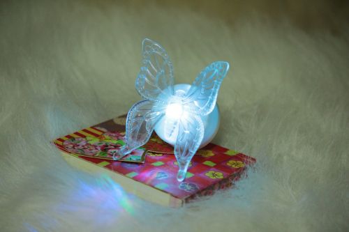 Butterfly Blue Light