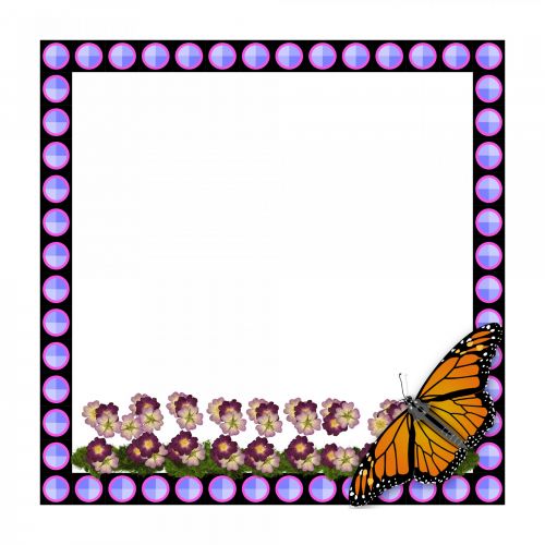 Butterfly Frame II