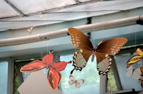 Butterfly Mobiles