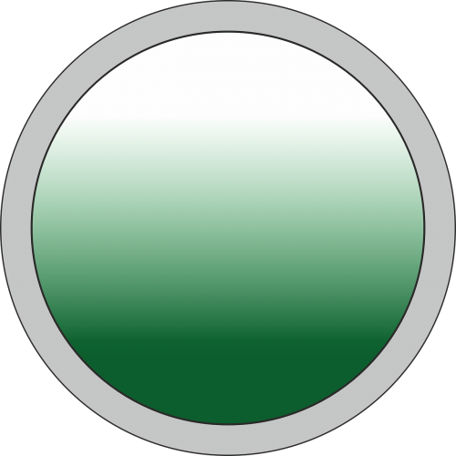 button the button icon