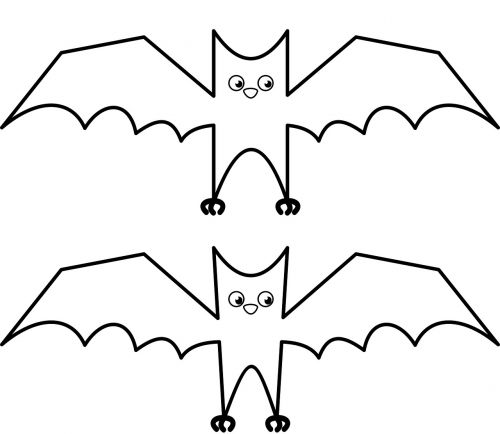 buy me a coffee bat mammal