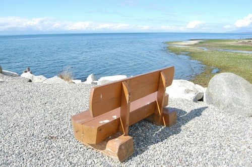 by the water bench landscape