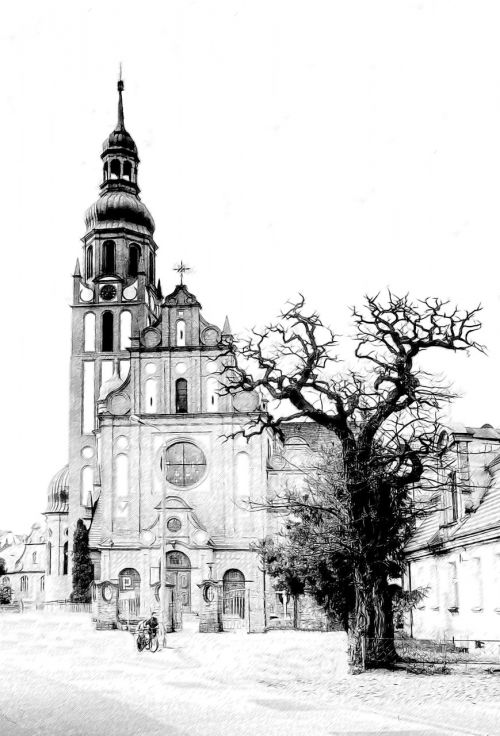 bydgoszcz church of the holy trinity architecture