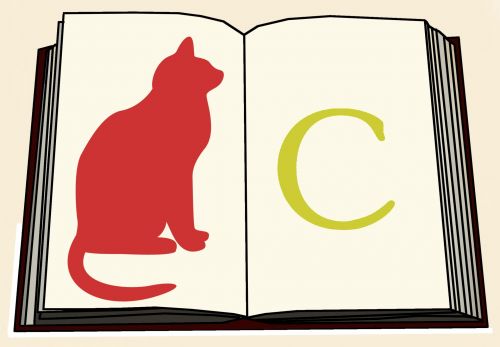 C Is For Cat Book