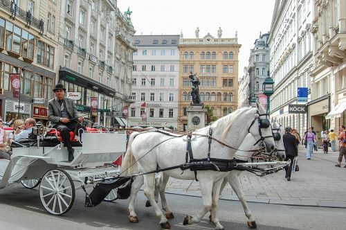 cab cart horses