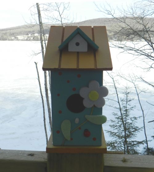 Birdhouse (1)