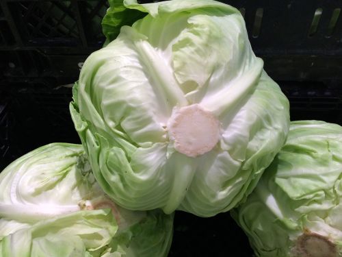 cabbage vegetables seiyu ltd