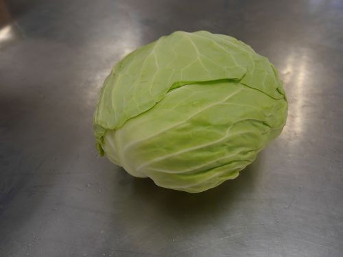 cabbage green round