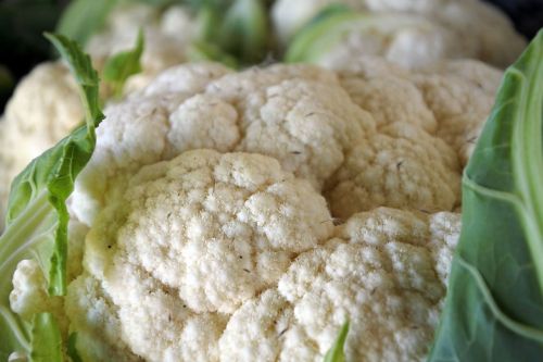 cabbage cauliflower kochan