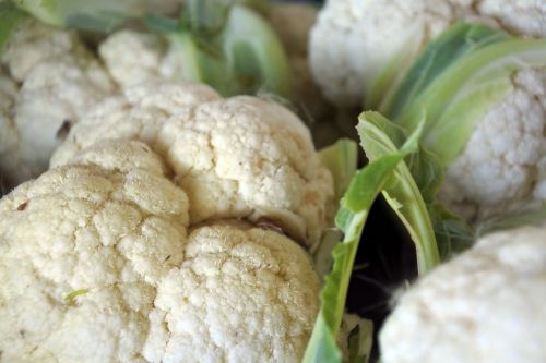 cabbage cauliflower kochan