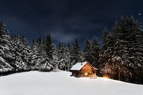 cabin pine trees starry night