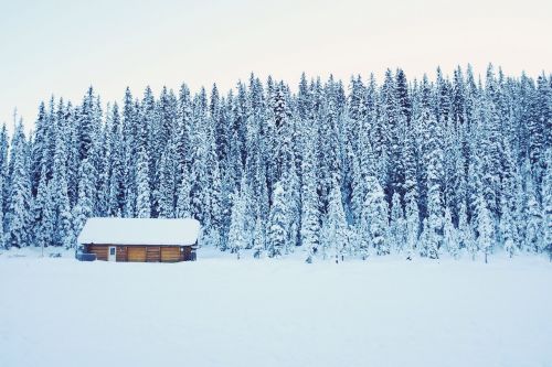 cabin isolated cold