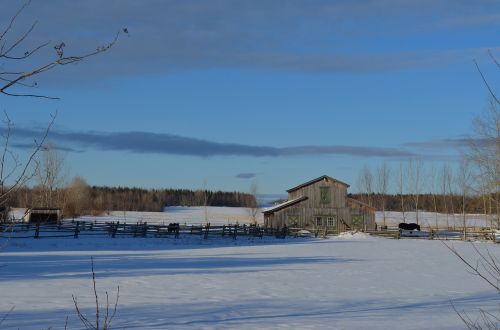 cabin barn winter