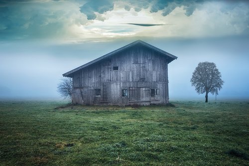 cabin  field  nature