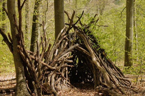 cabin  forest  wood