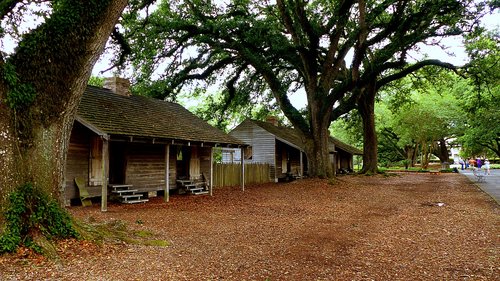 cabins  slaves  trees