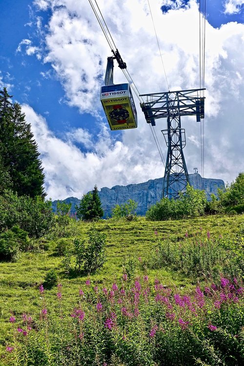 cable car  outdoors  nature