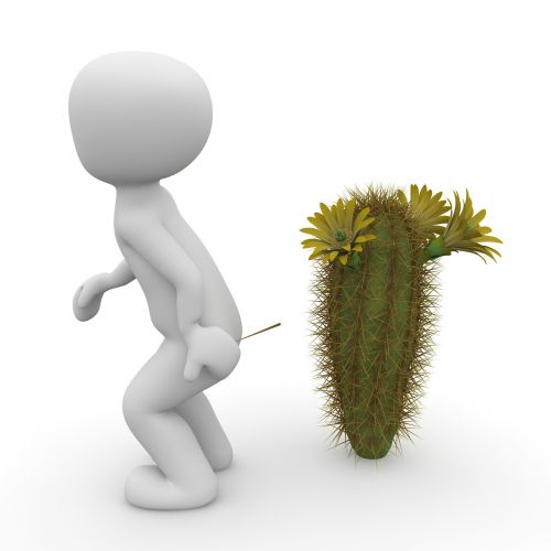 cactus sting thorns