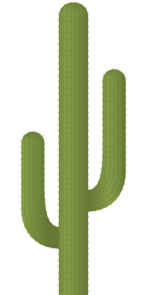 cactus plants desert