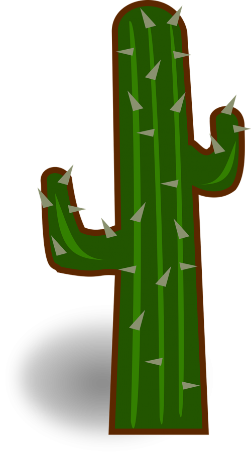 cactus map icon rpg