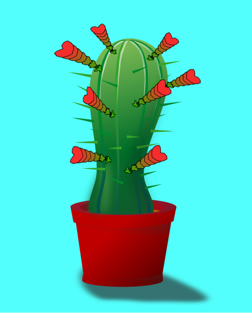 cactus flower hand