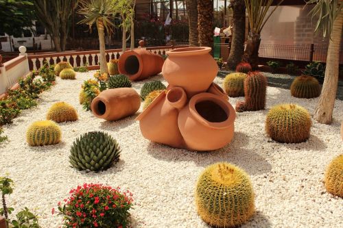 cactus lawn decor