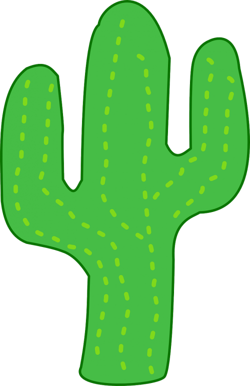 cactus thorns spikes