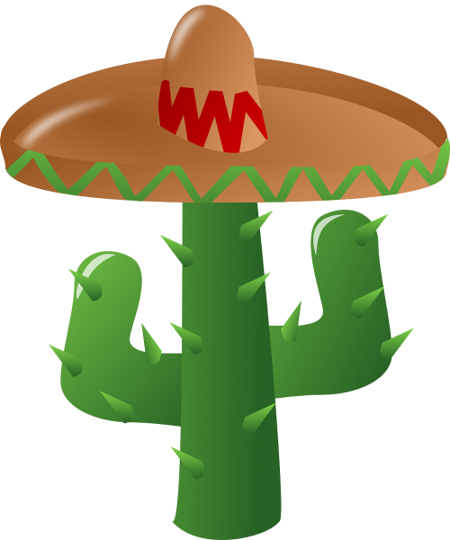 cactus sombrero mexican