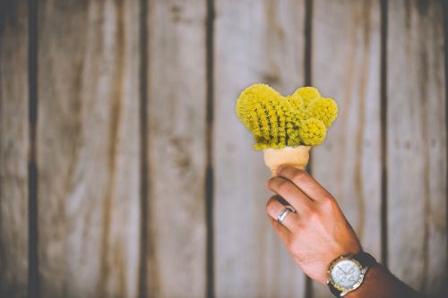 cactus ice cream cone cone